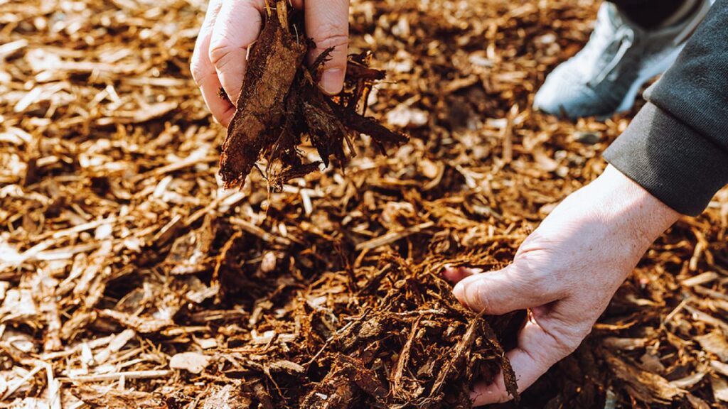 The Power Of Mulch How Proper Mulching Benefits Your Landscape 1280x720