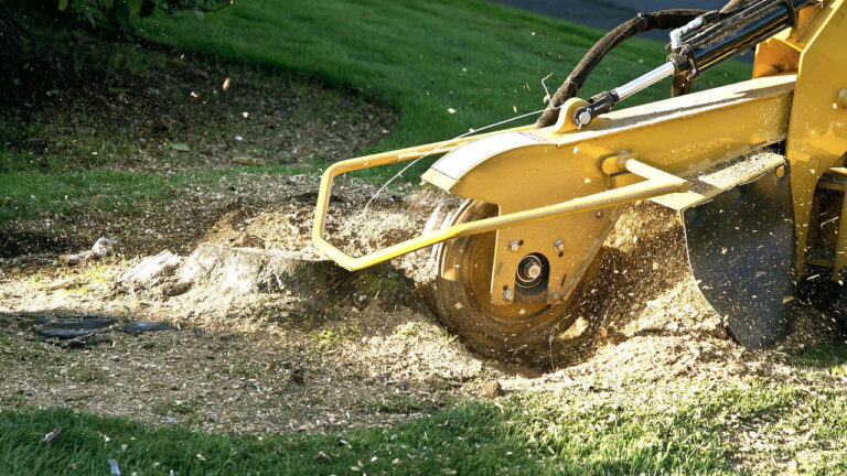 Stump Removal Lawn Yardcare Hbanner